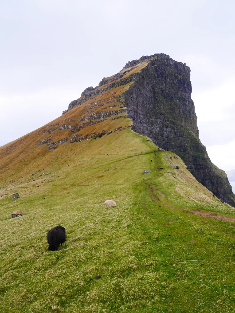 randonnee mont borgarin